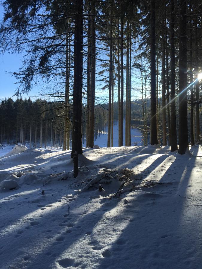 Apartmány Sportrelax Albrechtice v Jizerskych horach Kültér fotó